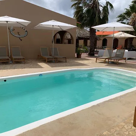 The Lizard Boutique Hotel-2